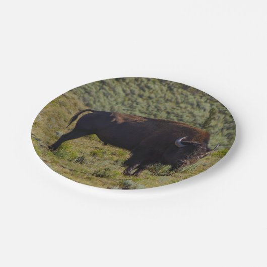 Wer Sie betrachtend Pappteller (Schrägansicht)