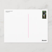 Wer trägt Kurze Shorts? Postkarte (Rückseite)