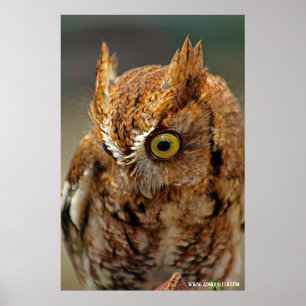 Wer unten schaut poster