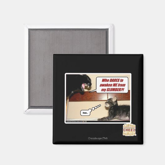 Wer wagt es, mich zu wecken? magnet (Vorderseite/Rückseite)