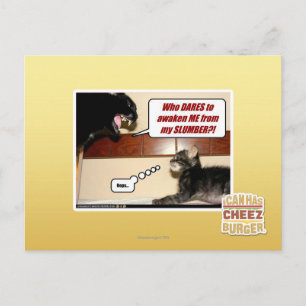 Wer wagt es, mich zu wecken? postkarte