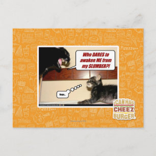 Wer wagt es, mich zu wecken? postkarte