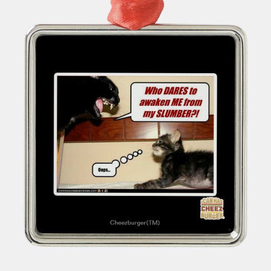 Wer wagt mich zu wecken? silbernes ornament (Vorne)