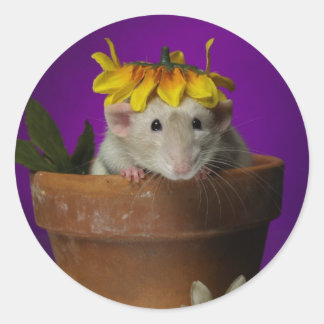 Wer war in den Blume? Runder Aufkleber