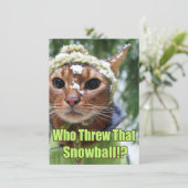 Wer warf diesen Schneeball!? Flache Karten - (Stehend Vorderseite)