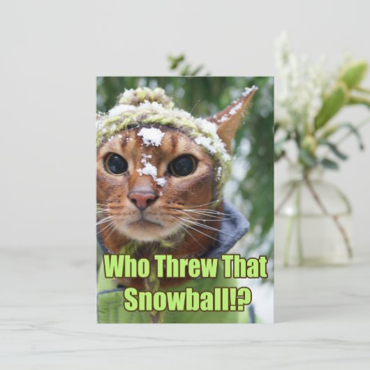 Wer warf diesen Schneeball!? Flache Karten - (Stehend Vorderseite)
