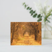 Wer weiß, wohin der Weg führt? Postkarte (Stehend Vorderseite)