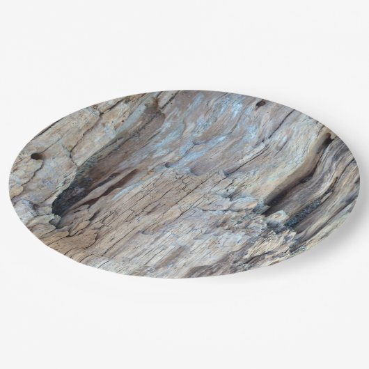 Wer will, um auf etwas Treibholz zu essen Pappteller (Schrägansicht)