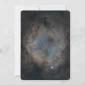 Werbekarten Elefanten Trunk Nebel Dankeskarte (Vorderseite)