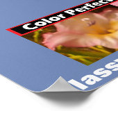 Werbeklasse Elegantes Ambiente Poster (Ecke)