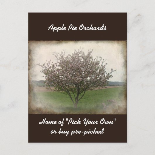 Werbung für Apple Tree in Bloom Postcard Postkarte (Vorderseite)