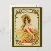 Werbung für Chicory Harvest Postkarte (Vorne/Hinten)