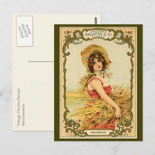 Werbung für Chicory Harvest Postkarte (Vorne/Hinten)