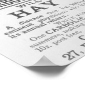 Werbung für den Carbolischen Rauchball Poster (Ecke)