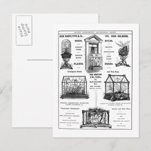 Werbung für "Dick Radclyffe & Co." Rustikale Werbu Postkarte (Vorne/Hinten)