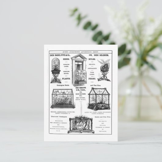 Werbung für "Dick Radclyffe & Co." Rustikale Werbu Postkarte (Stehend Vorderseite)