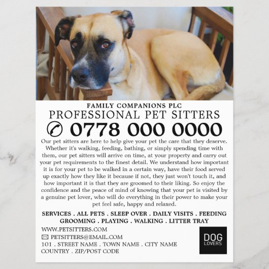 Werbung für entspannte Hunde, Haustiere Flyer (Vorne)