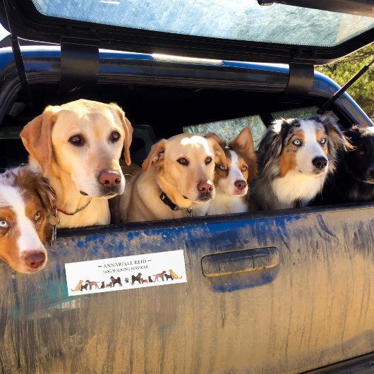 Werbung für Geschäftshunden-Katzen Autoaufkleber