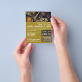 Werbung für gesunde Lebensmittel, Gesundheitsleben Flyer (Gruppe)