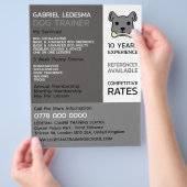 Werbung für Grauhunde, Hunde-Trainer Flyer (Hand)
