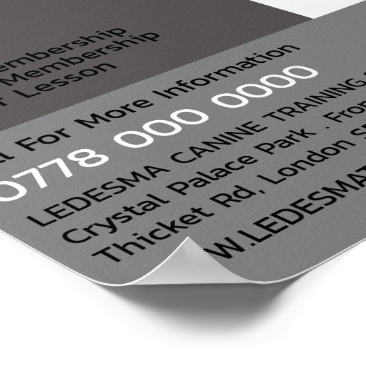 Werbung für Grauhunde, Hunde-Trainer Poster (Ecke)