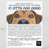 Werbung für Niedliche Hunde, Sitzmöbel Flyer (Vorne)