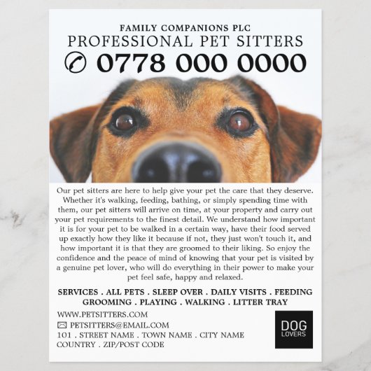 Werbung für Niedliche Hunde, Sitzmöbel Flyer (Vorne)