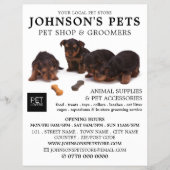 Werbung für niedliche Jungtiere, Pet Store & Groom Flyer (Vorne)