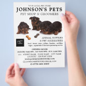 Werbung für niedliche Jungtiere, Pet Store & Groom Flyer (Hand)