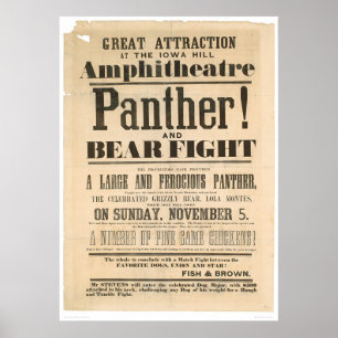 Werbung für Panther und Bären (1293A) Poster