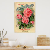 Werbung für Scotts Rose Poster (Küche)