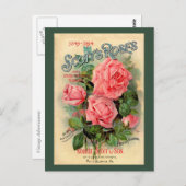 Werbung für Scotts Rose Postkarte (Vorne/Hinten)