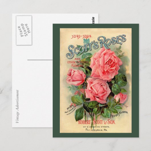 Werbung für Scotts Rose Postkarte (Vorne/Hinten)
