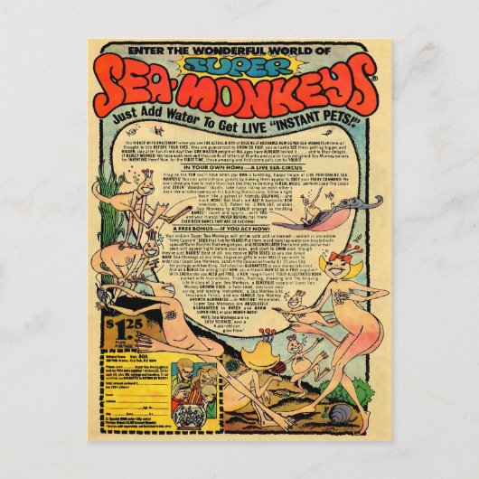 Werbung für Vintage Meeressäuger Postkarte (Vorderseite)