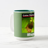 Werbung Hummingbird Nest Zweifarbige Tasse (Vorderseite Links)