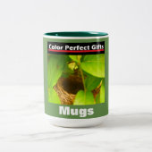 Werbung Hummingbird Nest Zweifarbige Tasse (Mittel)