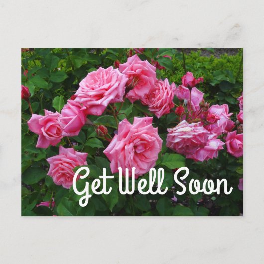 Werde bald gesund Gene Boerner Rose #2 Postkarte (Vorderseite)