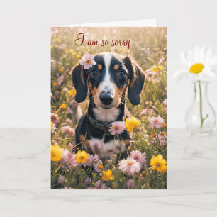 Werde Gesund Fühle Dich Besser Süßer Dachshund Wel Karte