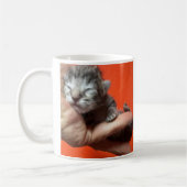 Werde Gesund, ich sorge mich um dich, Katzen-Kaffe Kaffeetasse (Links)