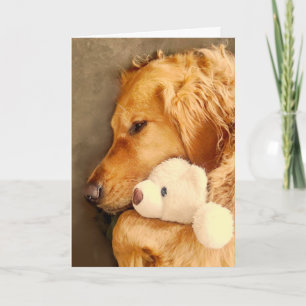 Werde Gesund Süßer Trauriger Golden Retriever Hund Karte