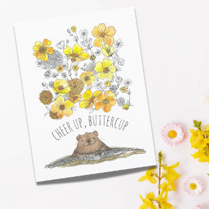 Werde Gesund, Waldmurmeltier, Kopf hoch, Butterblu Postkarte