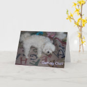 Werden alt? karte (Gelbe Blume)