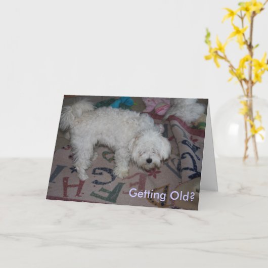 Werden alt? karte (Gelbe Blume)