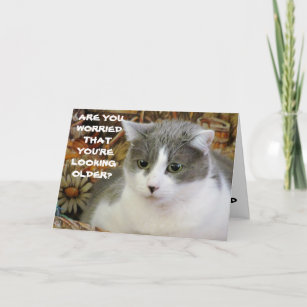Katze Erschrocken Karten Zazzle De