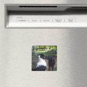 WERDEN SIE HEUTE, MACHEN SIE EIN FREUND MAGNET (In Situ (Geschirrspüler))