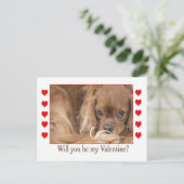 Werden Sie mein Valentinstag Spaniel Postkarte (Stehend Vorderseite)