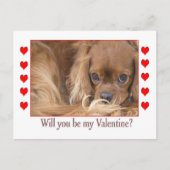 Werden Sie mein Valentinstag Spaniel Postkarte (Vorderseite)