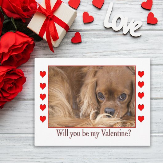 Werden Sie mein Valentinstag Spaniel Postkarte
