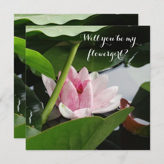 Werden Sie meine Blumenkarten sein, Lotus Einladung (Vorne/Hinten)