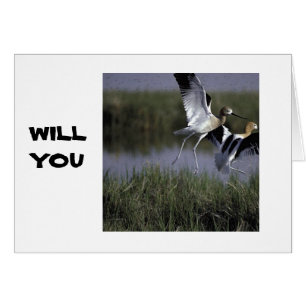 WERDEN SIE MIT MIR FLIEGEN? LIEBE CARD